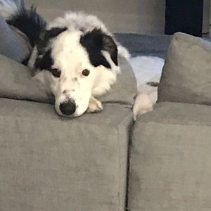 Meet your Posher, Jeanne